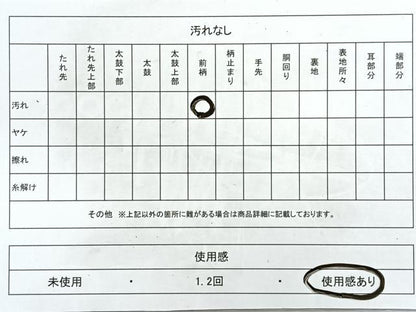平和屋着物◎六通柄袋帯 唐織 立涌花文 銀糸 正絹 逸品 CAAU7230nb