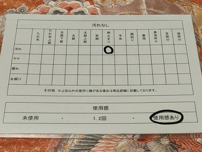 平和屋着物◎六通柄袋帯　唐織　几帳鳳凰花文　金銀糸　正絹　逸品　CAAU7635in
