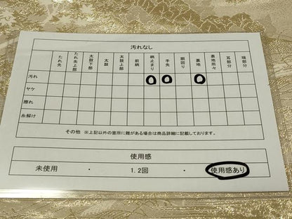 平和屋着物◎六通柄袋帯 京名所 嵐山 金糸 正絹 逸品 CAAU7692in