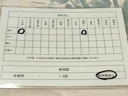 平和屋着物◎太鼓柄袋帯 すくい織 枝花文 引箔 正絹 逸品 CAAU7753in