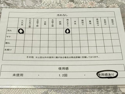 平和屋着物◎六通柄袋帯 長谷乃庭園 九百プラチナ二重箔 正絹 逸品 CAAU7764in