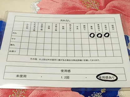 平和屋着物◎六通柄袋帯 唐織 草花文 金銀糸 正絹 逸品 CAAU7776in