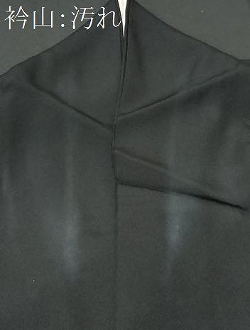 平和屋着物■豪華黒留袖　名所風景文　金彩　正絹　逸品　CAAU8253fb