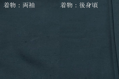 平和屋着物●男性　紬　アンサンブル　藍鉄色　正絹　逸品　CAAU9944vf