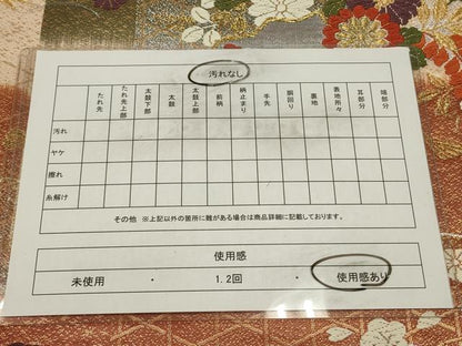 平和屋着物◎六通柄袋帯　唐織　扇面花文　金銀糸　正絹　逸品　CAAV0384qe