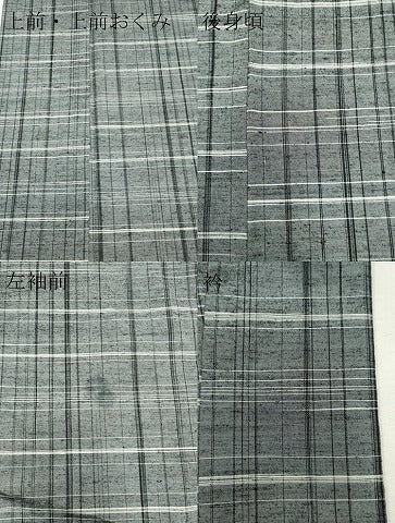平和屋着物▽上質な紬 単衣 樹林文 正絹 逸品 CAAV0903ou
