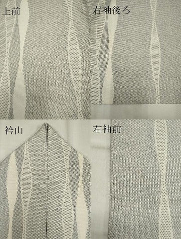平和屋着物▽本塩沢　単衣　100亀甲　立涌文　正絹　逸品　CAAV0909ou