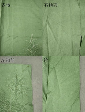 平和屋着物▽訪問着　単衣　刺繍　秋草文　暈し染め　金彩　正絹　逸品　CAAV0975ou