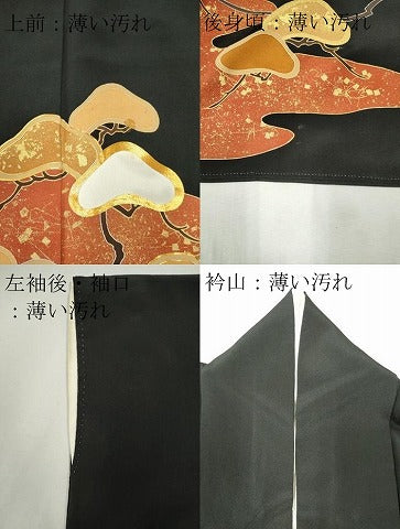 平和屋着物■豪華黒留袖 駒刺繍 枝松文 金彩 正絹 逸品 CAAV1186ou