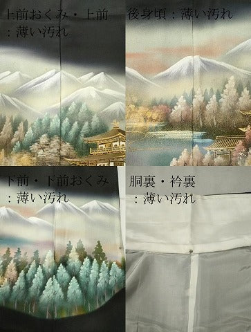 平和屋着物■豪華黒留袖 手描き 鴛鴦風景文 暈し染め 金銀彩 正絹 逸品 CAAV1193ou