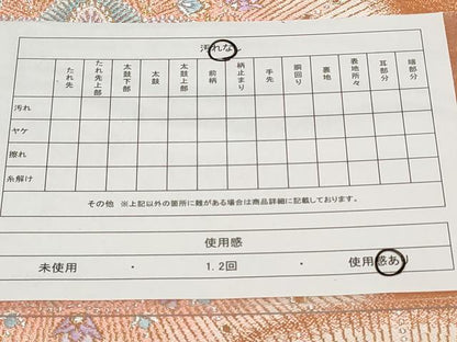 平和屋着物◎六通柄袋帯　唐織　宝相華　金銀糸　正絹　逸品　CAAV2299ev