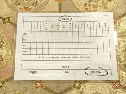 平和屋着物◎六通柄袋帯　亀甲花鳥丸文　金糸　正絹　逸品　CAAV3317ft