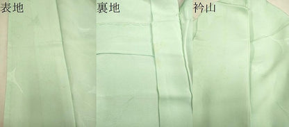 平和屋着物▽上質な色無地 単衣 飛鶴地紋 夏虫色 正絹 逸品 CAAV3697dy