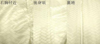 平和屋着物▽訪問着 単衣 雲重ね文 暈し染め 洗える着物 CAAV3698dy