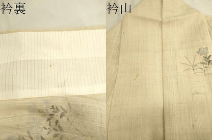 平和屋着物▽訪問着 単衣 生紬 手描き 草花文 正絹 逸品 CAAV3764dy