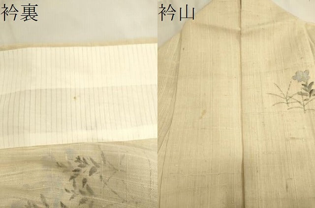 平和屋着物▽訪問着 単衣 生紬 手描き 草花文 正絹 逸品 CAAV3764dy