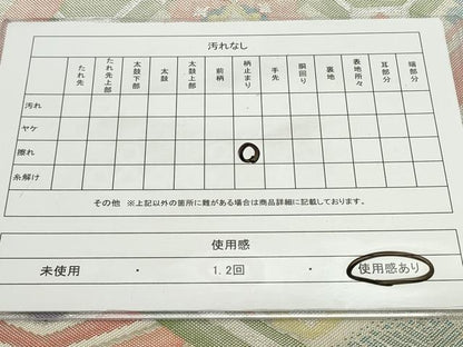 平和屋着物◎七彩佐賀錦 六通柄袋帯 亀甲正倉院花文 金銀糸 正絹 逸品 CAAV4344in