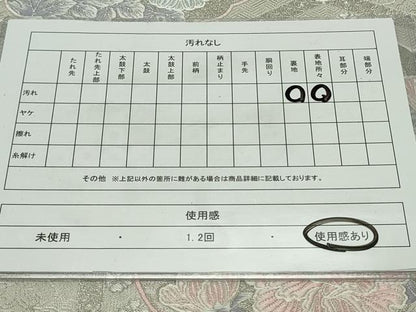平和屋着物◎六通柄袋帯　唐織　亀甲草花文　銀糸　正絹　逸品　CAAV4388in
