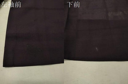 平和屋着物▽道行コート スリーシーズン 春夏秋 塵除け 絽 霞紋紗 深紫色 正絹 逸品 CAAV4404vp