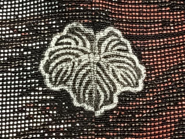平和屋着物＃羽織　寿光織　舞菊文　黒地　金銀糸　正絹　逸品　CAAV5627id