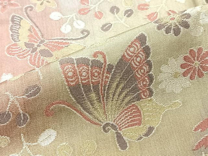 平和屋着物＃道中着　寿光織　花蝶文　ロング丈　正絹　逸品　CAAV5700id