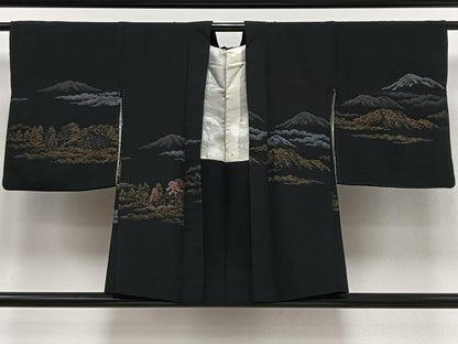 平和屋着物∞羽織　寿光織　遠山風景文　黒地　金銀糸　正絹　逸品　CAAV5898id