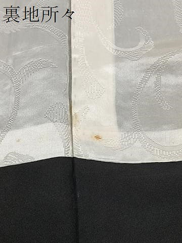 平和屋着物∞羽織　寿光織　遠山風景文　黒地　金銀糸　正絹　逸品　CAAV5898id