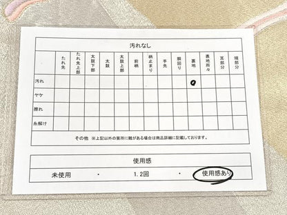 平和屋着物◎六通柄袋帯　唐織　竹文　金銀糸　正絹　逸品　CAAV5925id