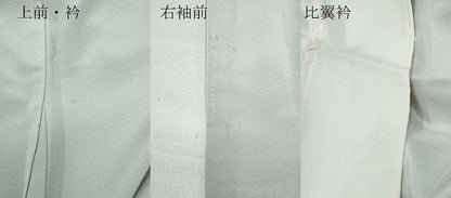 平和屋着物●十日町友禅作家 阿部佳雪 色留袖 九十九湾 暈し染め 正絹 逸品 CAAV6466vf