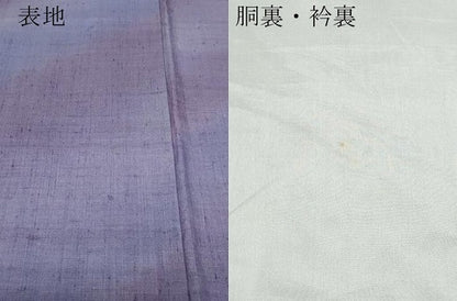 平和屋着物●菅原工房　菅原結作　漢方染紬　霞斜線文　やまと誂製　証紙付き　正絹　逸品　CAAV6544vf