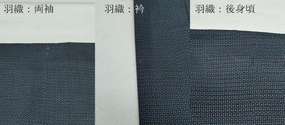 平和屋着物●男性 本場大島紬 アンサンブル 100亀甲 総詰め 近鉄百貨店扱い 正絹 逸品 CAAV6642vf
