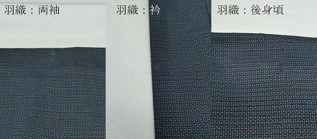 平和屋着物●男性 本場大島紬 アンサンブル 100亀甲 総詰め 近鉄百貨店扱い 正絹 逸品 CAAV6642vf