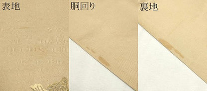 平和屋着物●アンティーク　大正ロマン　六通柄　本袋帯　五爪龍　正絹　逸品　CAAV7069hy