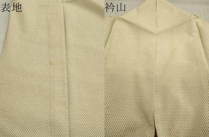 平和屋着物▽本塩沢 単衣 蚊絣 正絹 逸品 CAAV8916gh