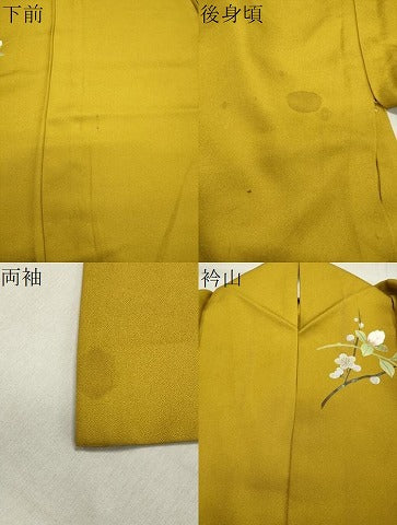 平和屋着物▽訪問着　単衣　螺鈿　枝梅花文　暈し染め　金銀彩　正絹　逸品　CAAV8983gh