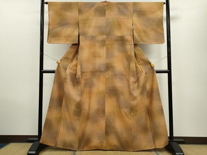 平和屋着物●生紬 霞文 正絹 逸品 未使用 CAAV9319ze