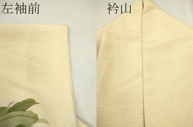平和屋着物●訪問着　手描き　草木文　暈し染め　正絹　逸品　CAAV9330ze