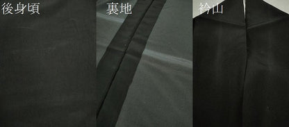 平和屋着物▽訪問着 単衣 格子柄 黒地 洗える着物 CAAV9483ze