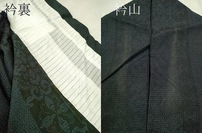 平和屋着物▽本塩沢 単衣 110亀甲 吉祥花間道 正絹 逸品 CAAV9484ze