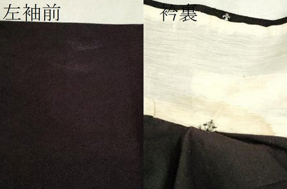 平和屋着物▽上質な色無地　単衣　御召縮緬　紫黒色　正絹　逸品　CAAV9492ze