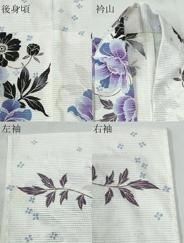 平和屋着物∴夏物 浴衣 綿絽 枝牡丹 綿 逸品 CAAW0840ng