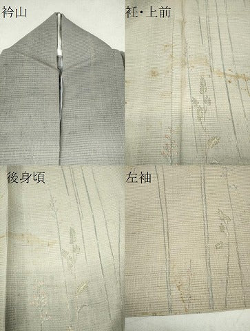 平和屋着物＊夏物 訪問着 絽紬地 手描き 水辺風景文 正絹 逸品 CAAW0885ng