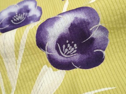 平和屋着物∴夏物 浴衣 縦綿絽 草花文 綿 逸品 CAAW1056ng