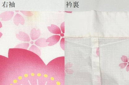 平和屋着物∴夏物 浴衣 綿紅梅 舞桜 綿 逸品 CAAW1111ng