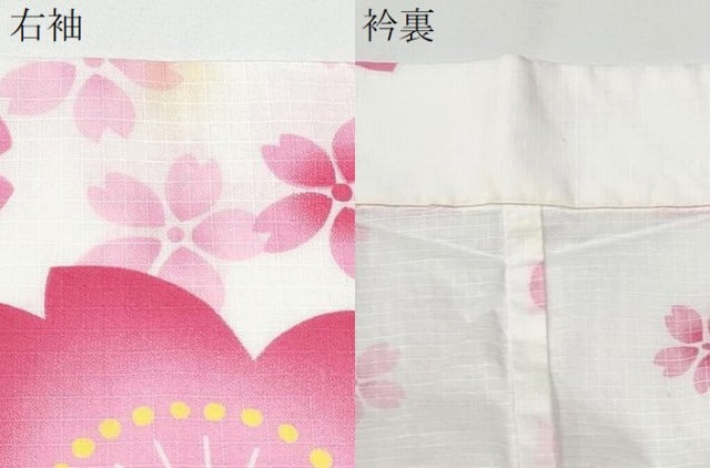 平和屋着物∴夏物 浴衣 綿紅梅 舞桜 綿 逸品 CAAW1111ng