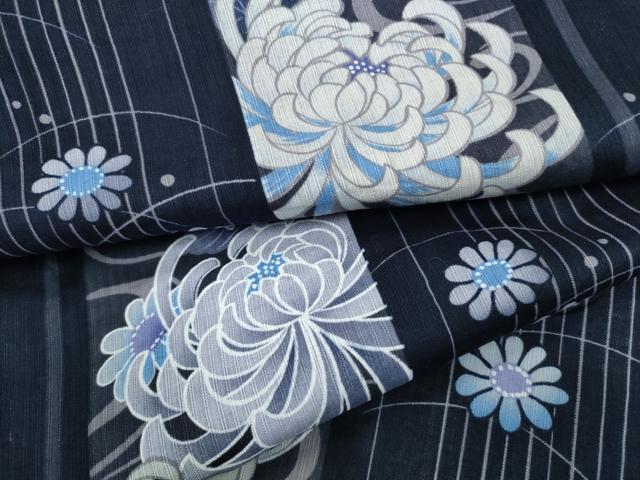 平和屋着物∴夏物 浴衣 縦綿絽 乱菊 間道 綿 逸品 CAAW1169ng