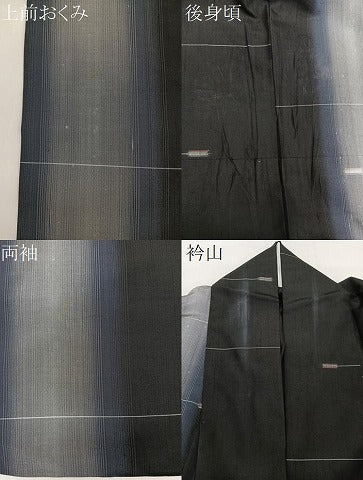 平和屋着物▽上質な紬 単衣 間道 黒地 正絹 逸品 CAAW1215xi
