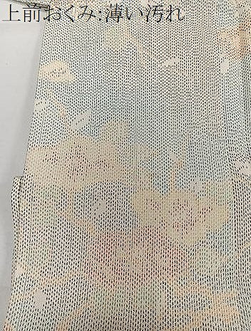 平和屋着物▽上質な紬 単衣 枝花文 正絹 逸品 CAAW1343xi