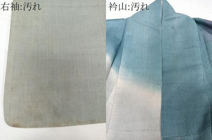 平和屋着物▽訪問着 単衣 紬地 手描き 草花文 正絹 逸品 CAAW1535xi