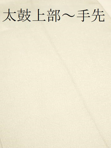 平和屋着物▼太鼓柄袋帯　綴れ　地紙吉祥花文　金銀糸　正絹　逸品　CAAW1799ak